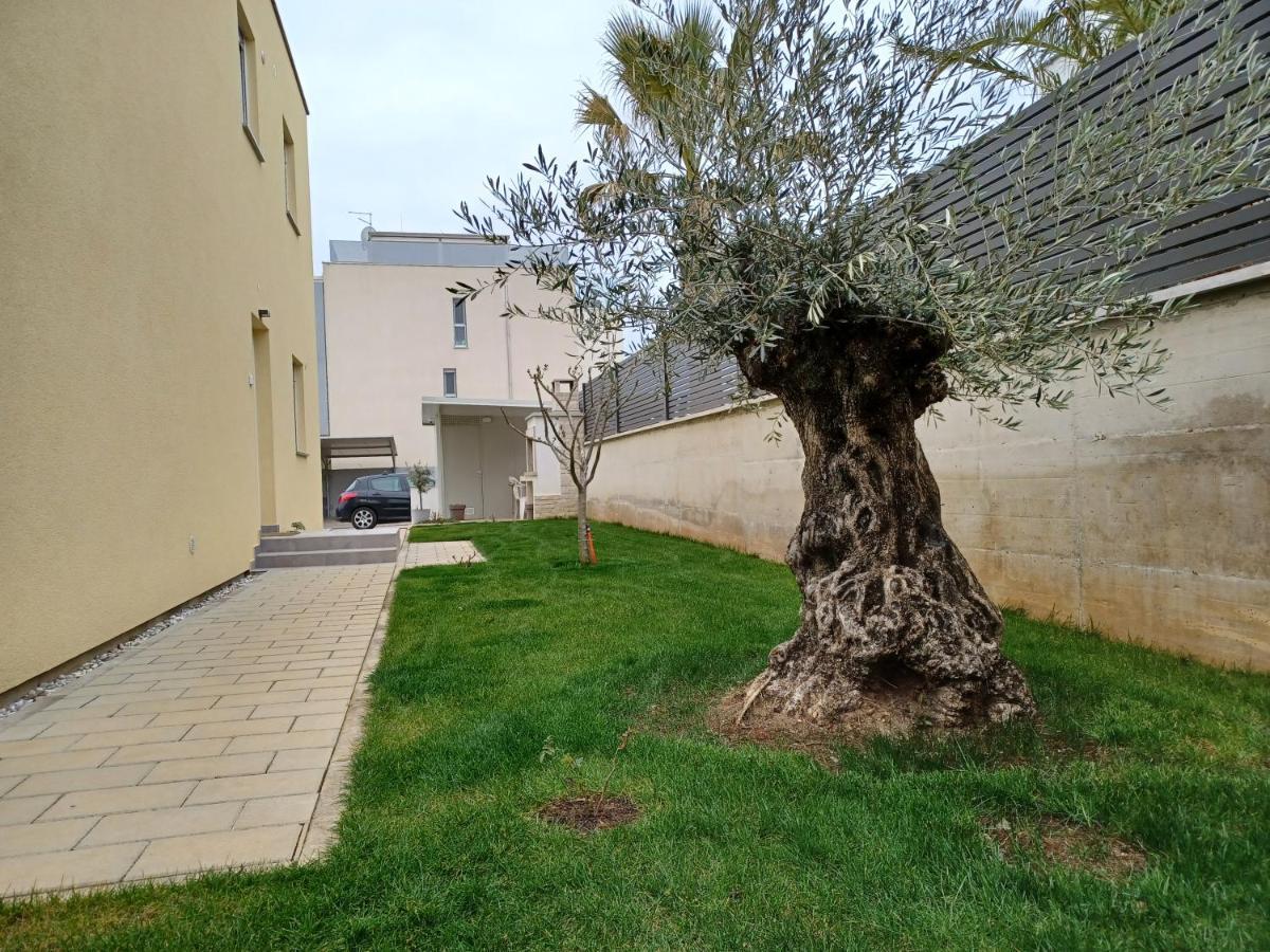 Apartments Leon 1 Novigrad  Екстер'єр фото